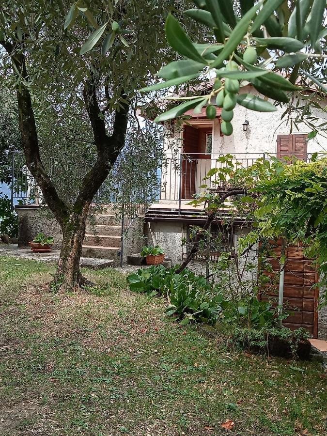 Olive Grove House Apartment Malcesine Luaran gambar