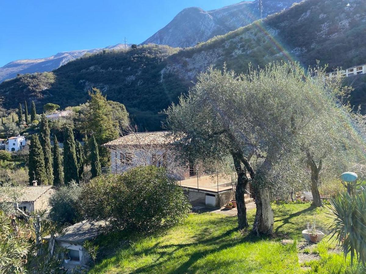 Olive Grove House Apartment Malcesine Luaran gambar