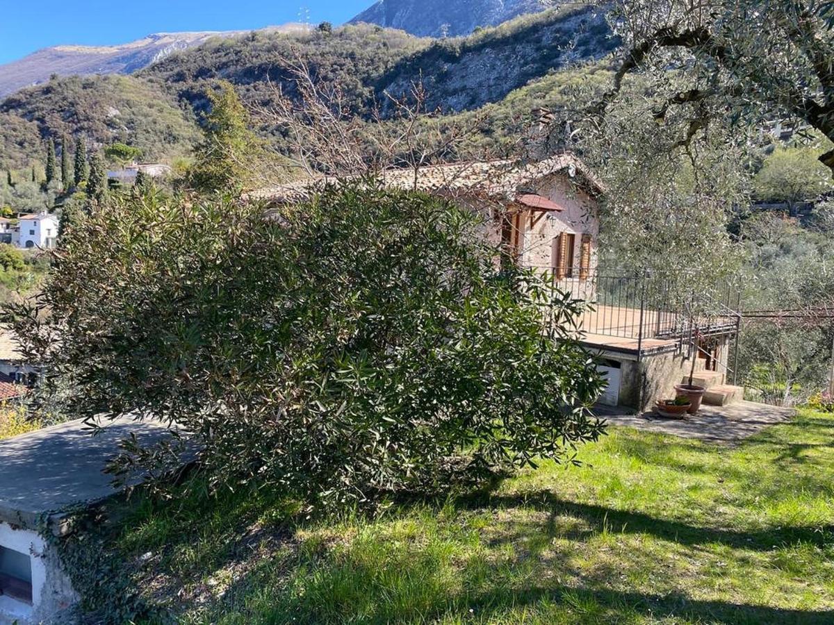Olive Grove House Apartment Malcesine Luaran gambar