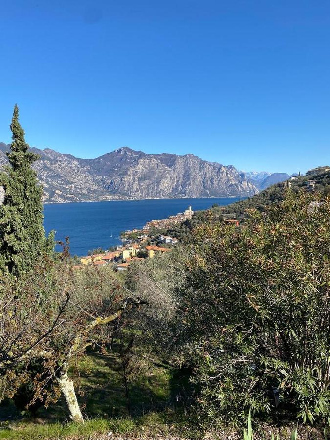 Olive Grove House Apartment Malcesine Luaran gambar